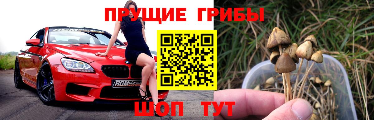 Псилоцибиновые грибы мицелий Новороссийск